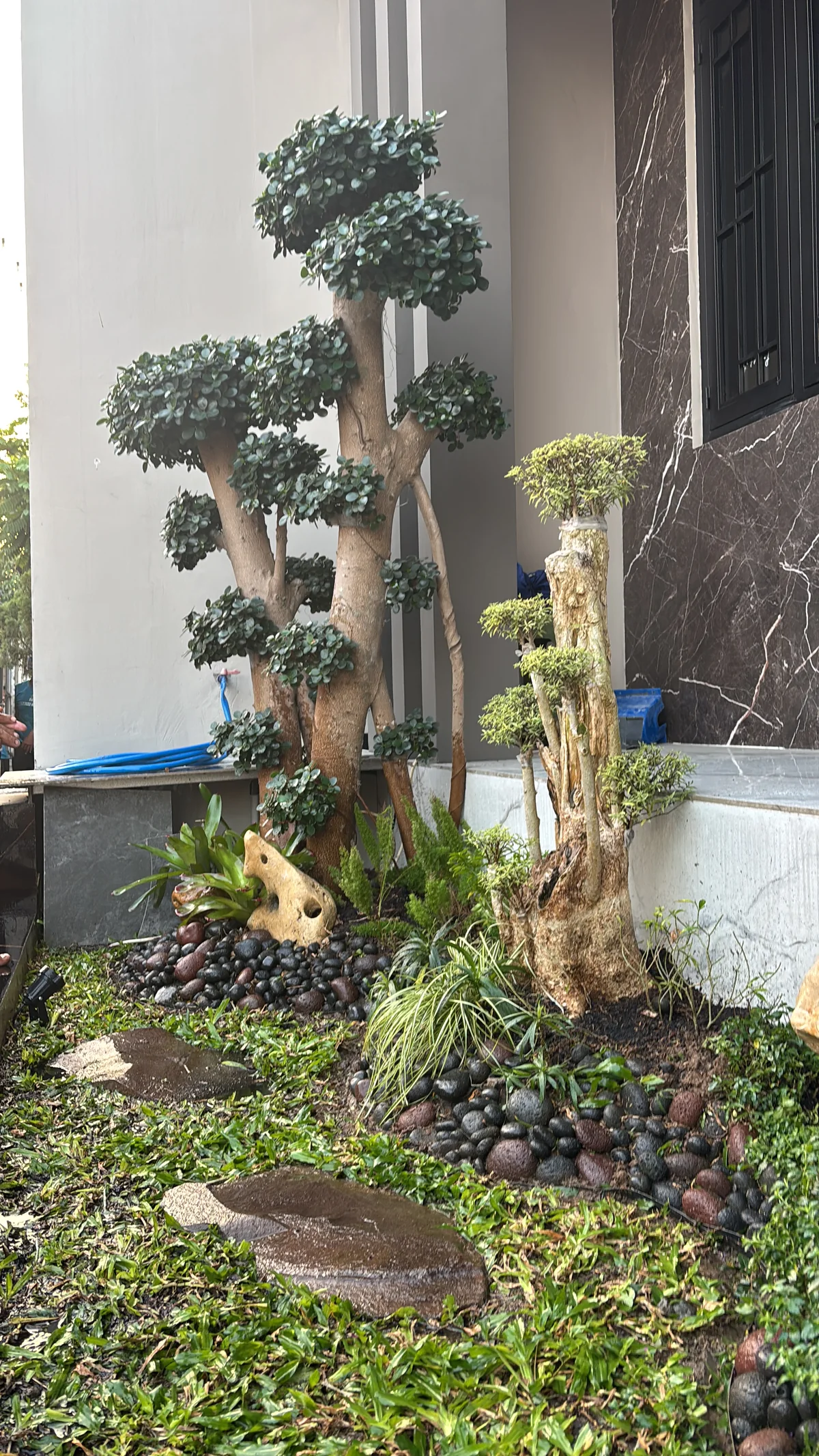 Taman Tropis Bertingkat & Aksen Alami