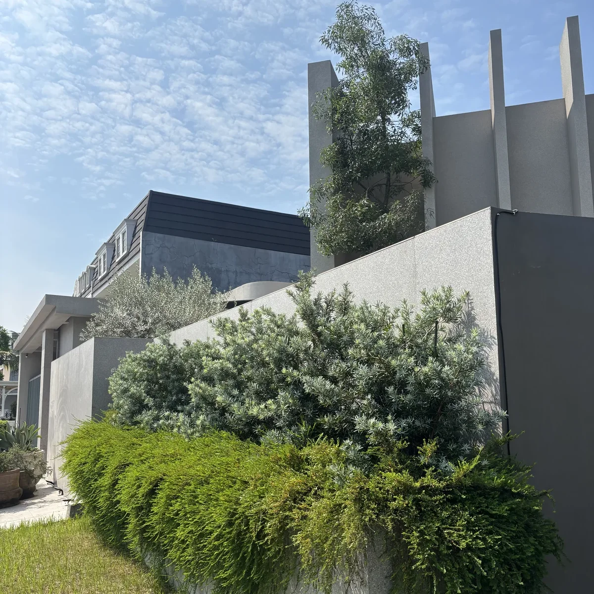 Penataan taman dinding modern