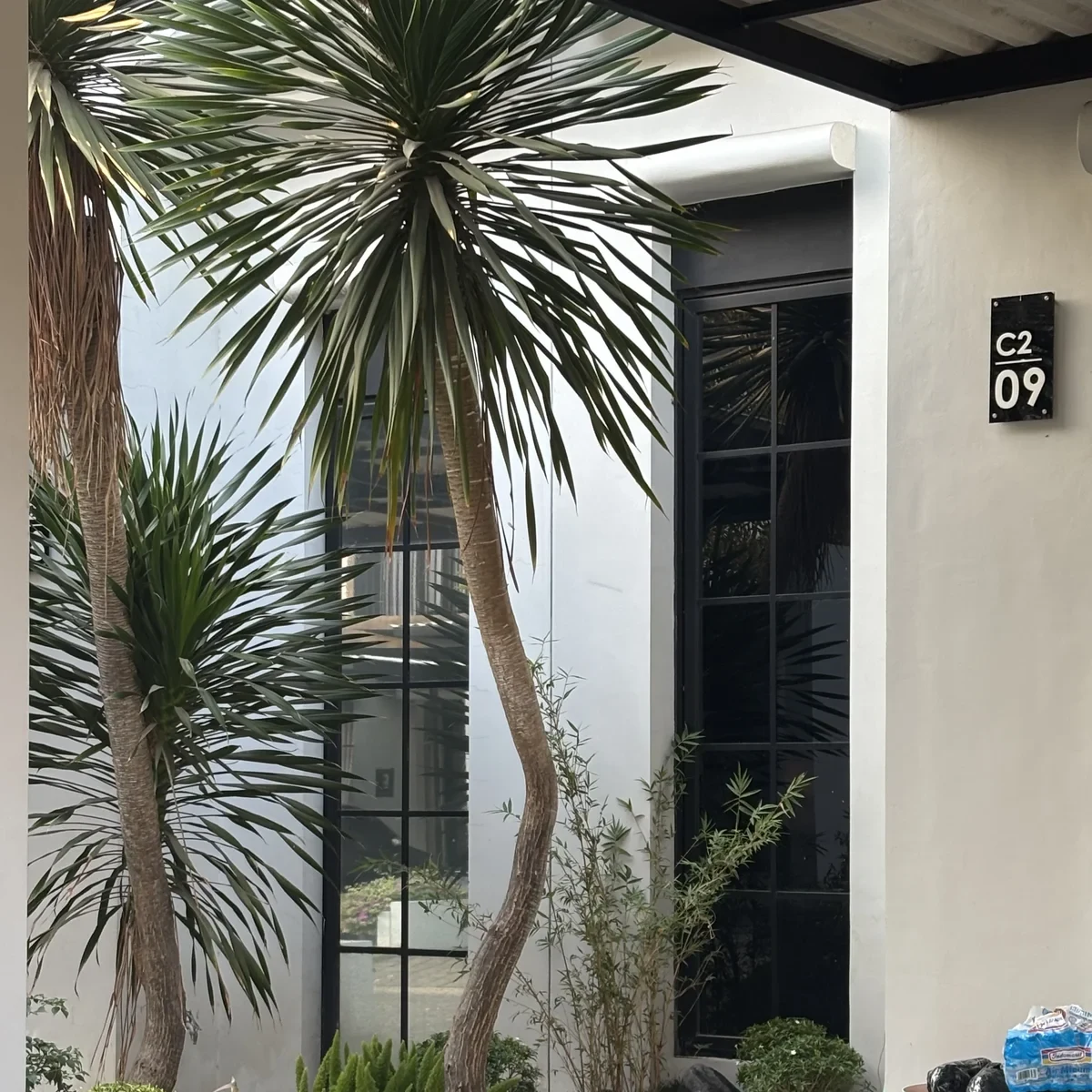 Taman kering batu koral & yucca