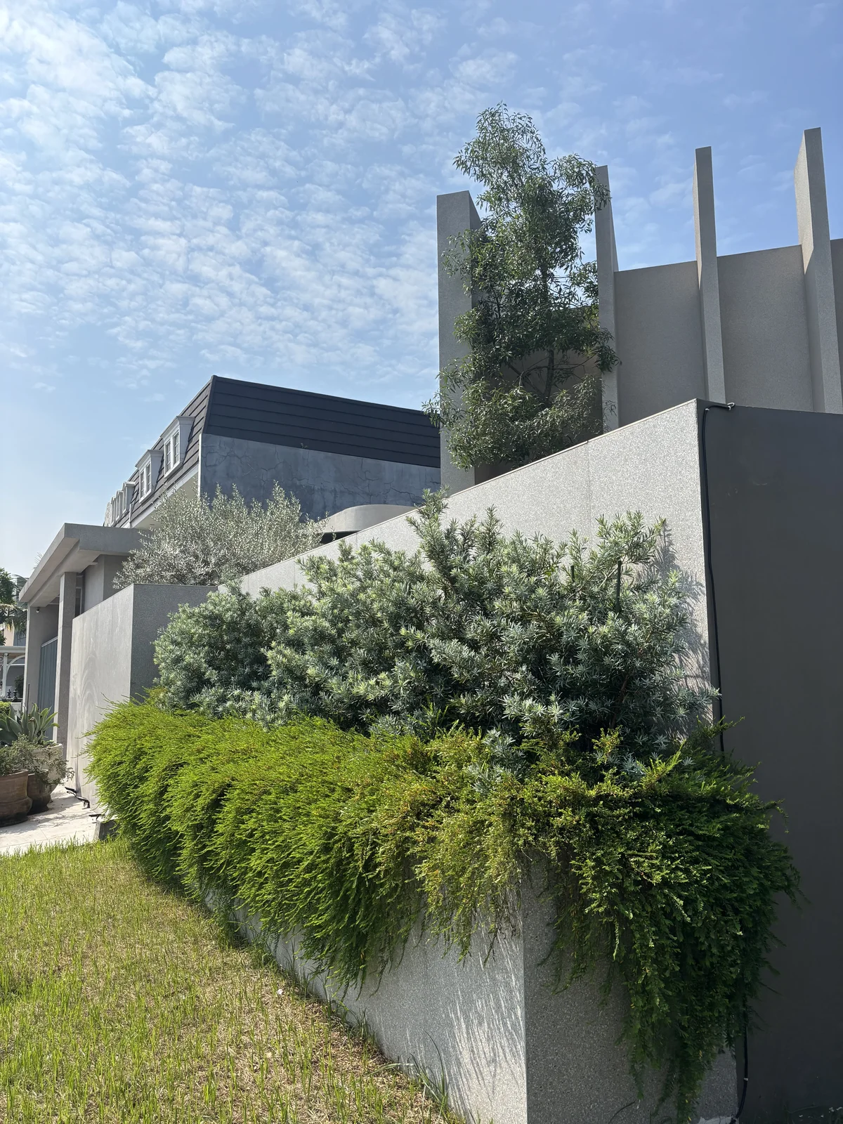 Penataan taman tempat usaha, kafe, kantor dan area komersial Bikin Taman