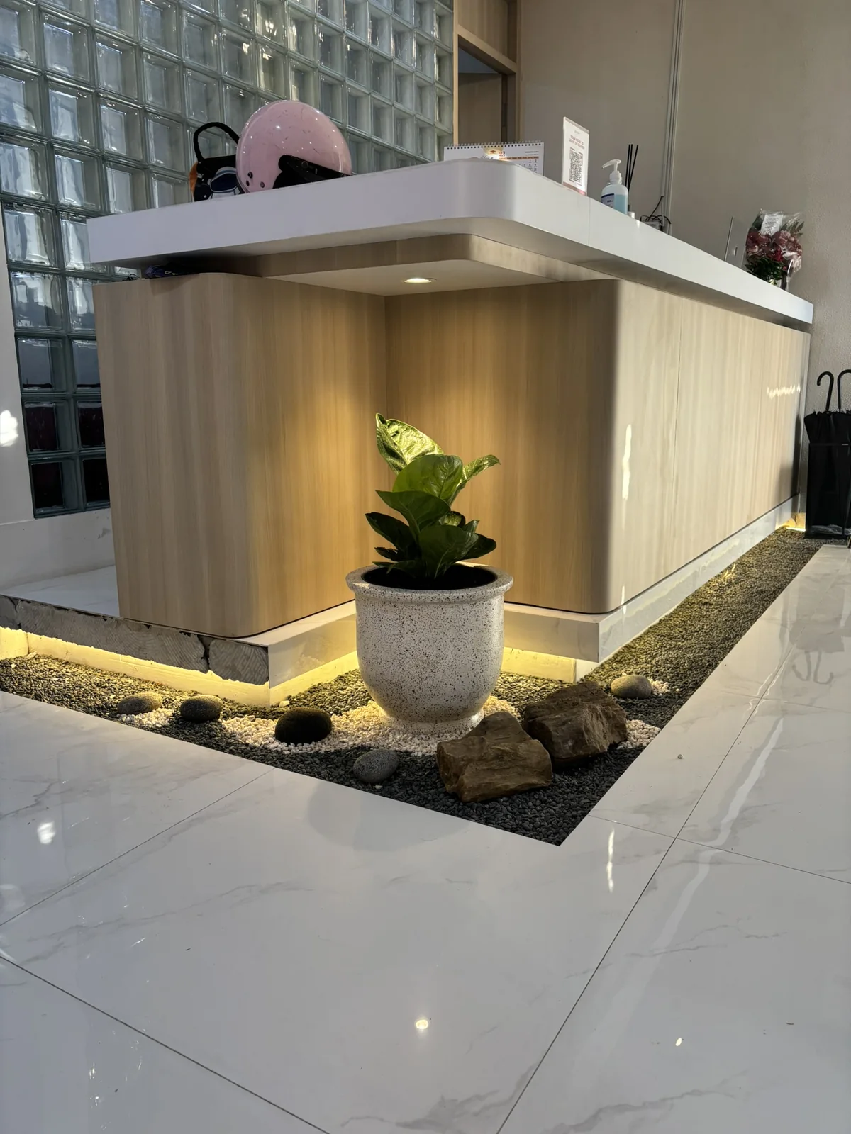 Aksen Tanaman dalam Pot Premium